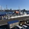 Возобновляются морские пассажирские перевозки между Владивостоком и Японией — newsvl.ru