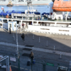Несколько человек взошли на борт «Плейоны» на глазах корреспондентов — newsvl.ru