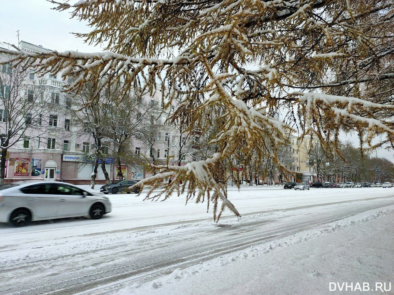 В Комсомольске с третьей попытки наступила зима (ФОТО) — Новости Хабаровска