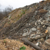 К границам участка подходит насыпь из грунта и строительного мусора — newsvl.ru