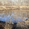 Озерцо выглядит так, будто его выкопали специально — newsvl.ru