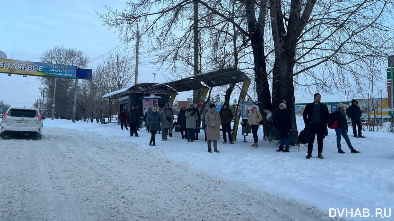 Последствия циклона: отсутствием автобусов недовольны хабаровчане (ФОТО;  ВИДЕО; ОБНОВЛЕНИЕ) — Новости Хабаровска