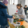 На фестивале можно было взять бесплатно комнатное растение или принести своё — newsvl.ru
