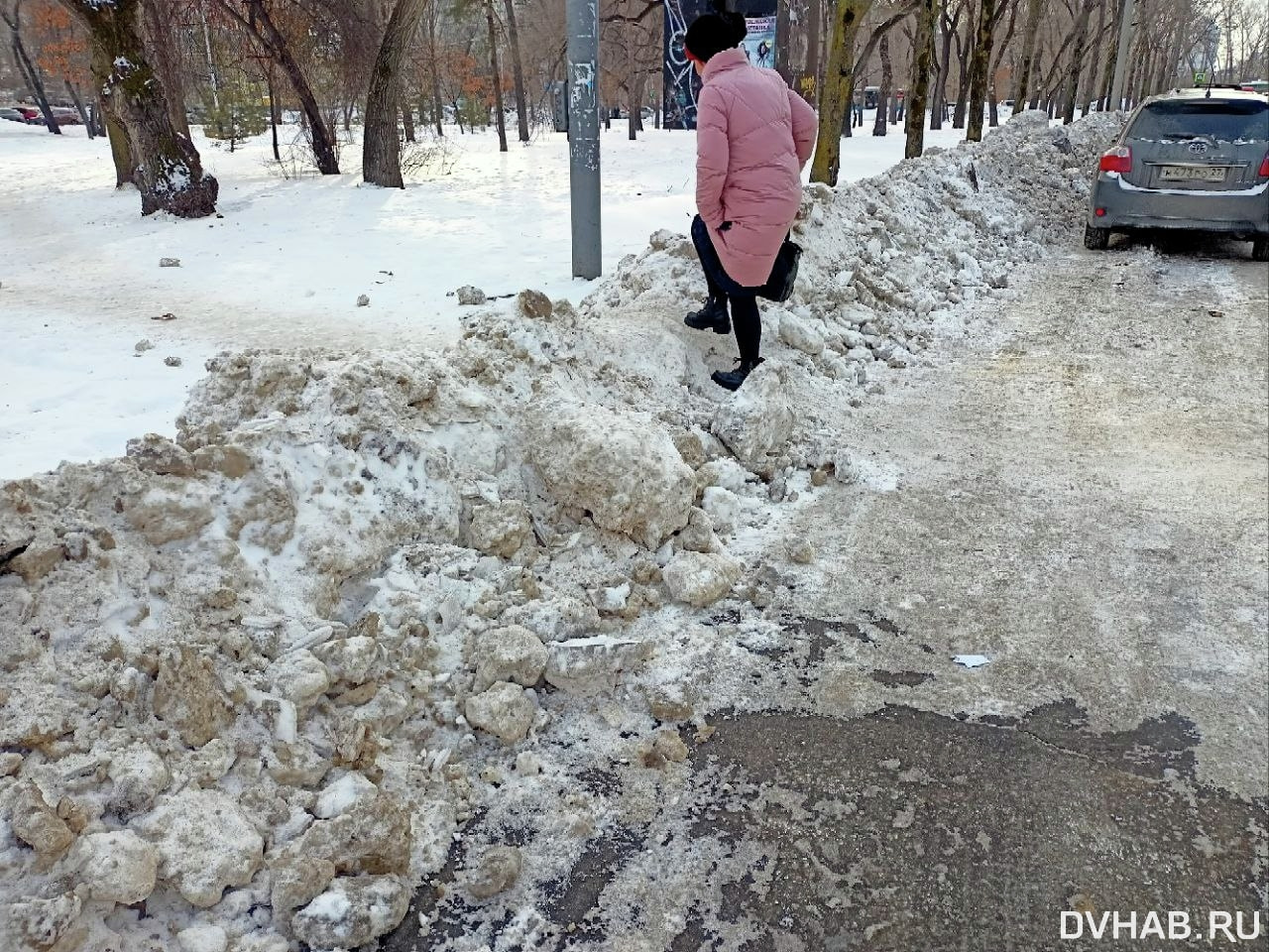 Убирать снежные отвалы с бульваров призывают хабаровчане (ФОТО; ВИДЕО) —  Новости Хабаровска