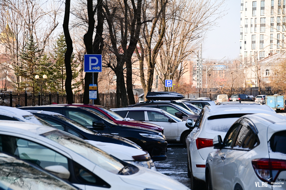 Год платным парковкам Владивостока: уловки, санкции, суды и штрафные  рекорды – Новости Владивостока на VL.ru