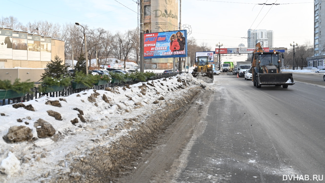 Хабаровск украшают елочками на фоне безобразных куч снега (ФОТО) — Новости  Хабаровска