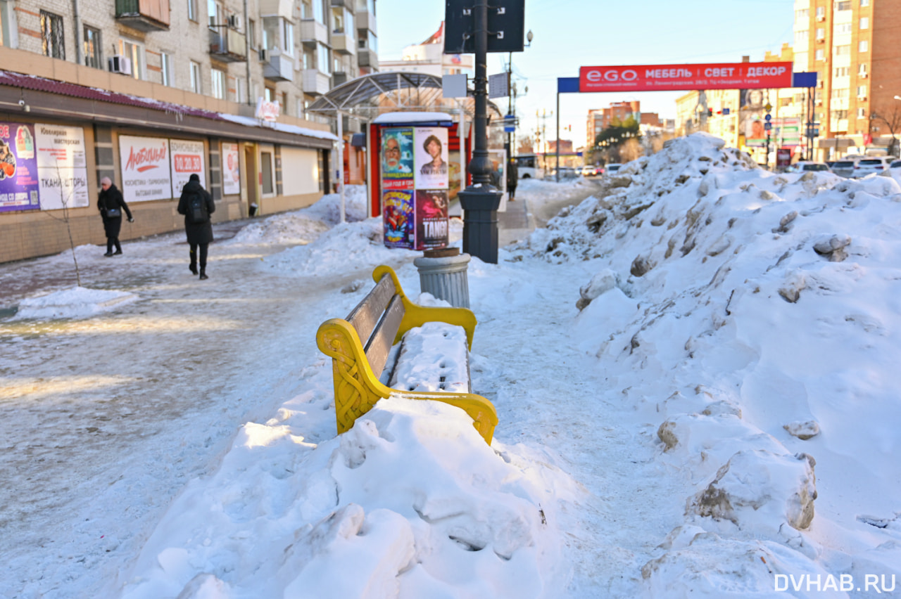 Лавочки для гномов: хабаровчане раскритиковали остановки на Ленина (ФОТО) —  Новости Хабаровска