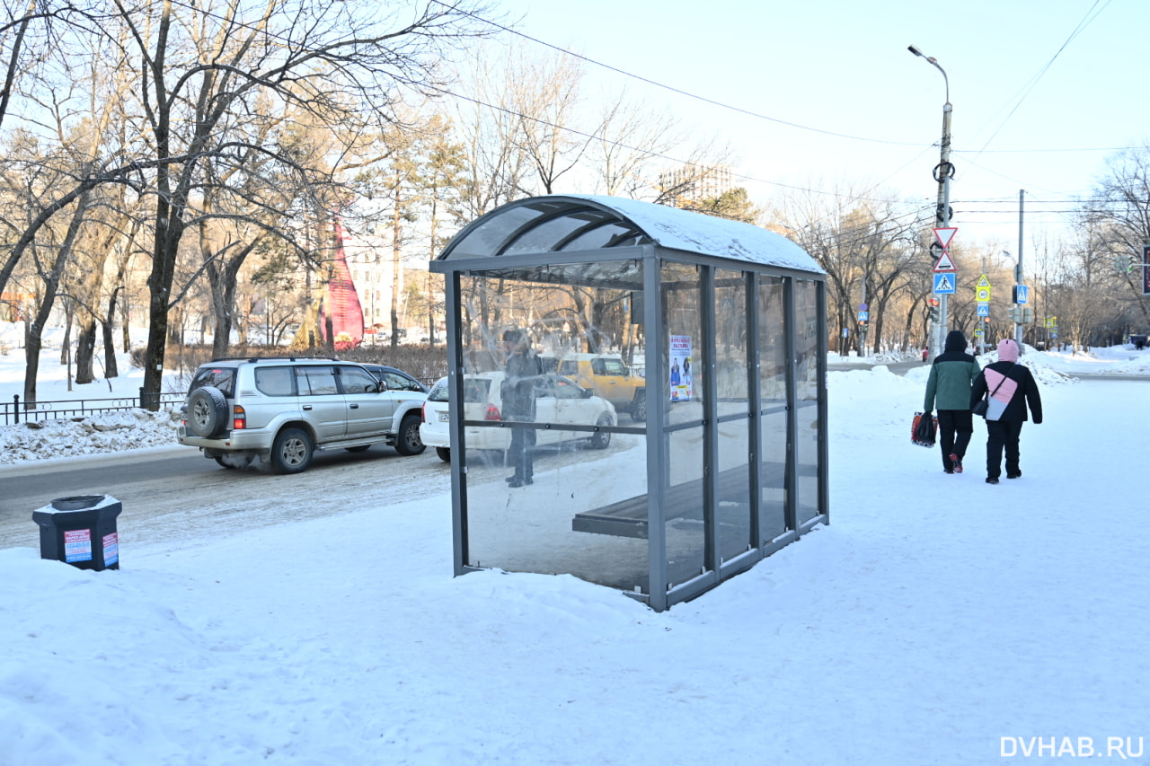 Как и почему в Хабаровске разбивают стеклянные остановки - рассказал  специалист (ФОТО) — Новости Хабаровска