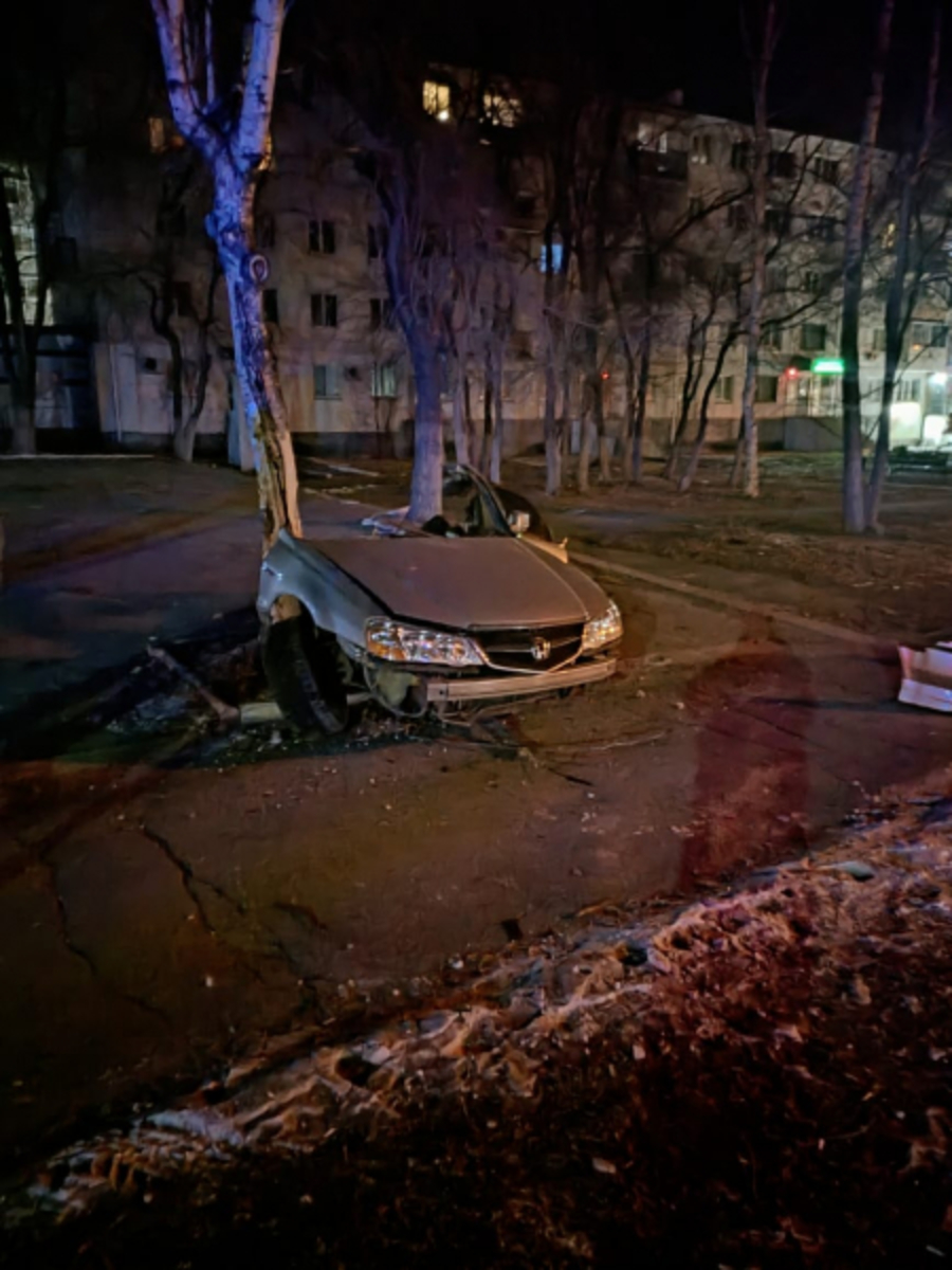 В Дальнегорске врезавшуюся в дерево машину разорвало на части — водитель не  выжил – Новости Владивостока на VL.ru