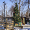На входе в парк стоит ёлка — newsvl.ru