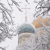 Первый мартовский снег накрыл Владивосток — newsvl.ru