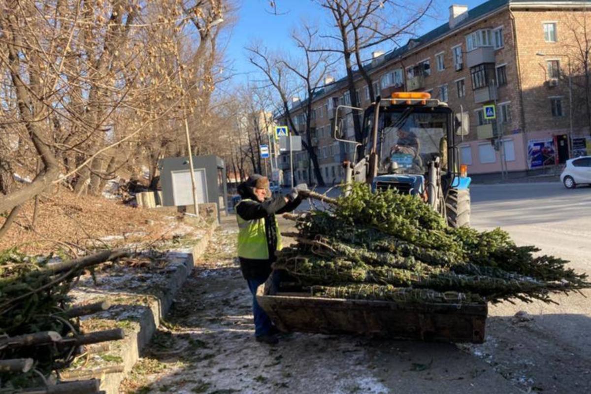 В первый день нового года с улиц Владивостока убирают брошенные ёлки –  Новости Владивостока на VL.ru