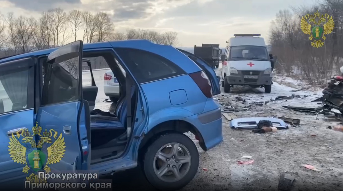 Двое взрослых и ребёнок погибли в ДТП на трассе Уссурийск – Владивосток ( ВИДЕО) – Новости Владивостока на VL.ru