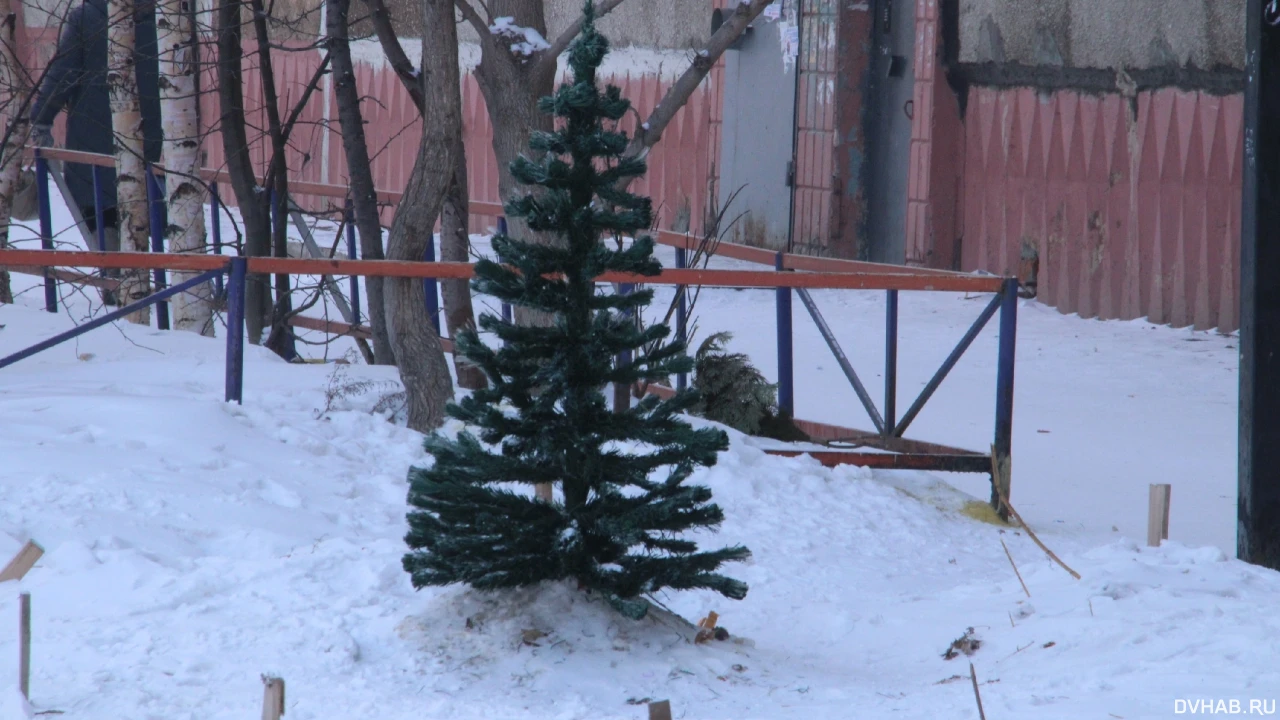 Видео. На елку в Страсбург приехало 3 миллиона туристов