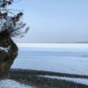 К скалам зимой можно подойти по льду — newsvl.ru