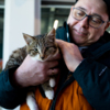 Люди охотнее выбирают котят, хотя, говорят волонтёры, лучше брать взрослого, со сформировавшимся характером — newsvl.ru