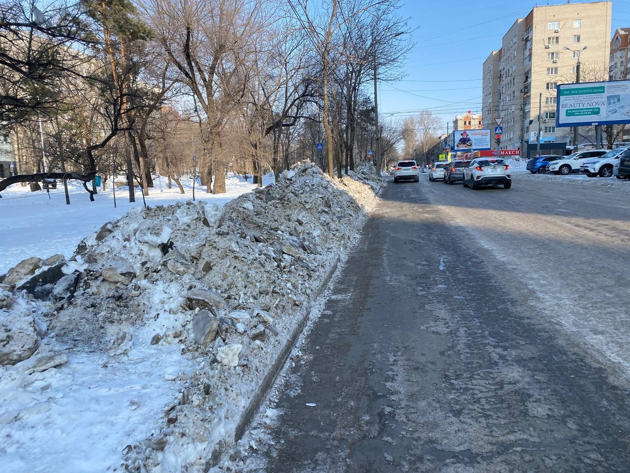 Пикетом снеговиков попытались привлечь внимание к уборке города хабаровчане  — Новости Хабаровска