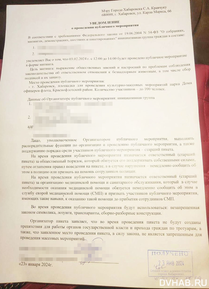 Митинг и пикет: хабаровчане выходят на защиту животных (ФОТО; ВИДЕО) —  Новости Хабаровска