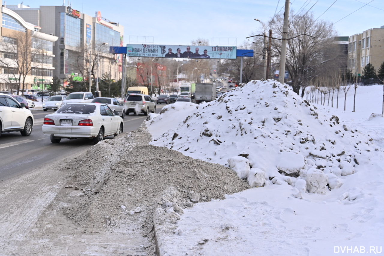 Как горки используют дети снежные валы на остановках (ФОТО) — Новости  Хабаровска