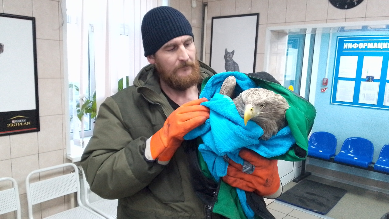 крыло переднее форд фокус 2. парень и девушка с крыльями. девушка с крыльями лебедя фото. под крыло фф. под крыло фф.