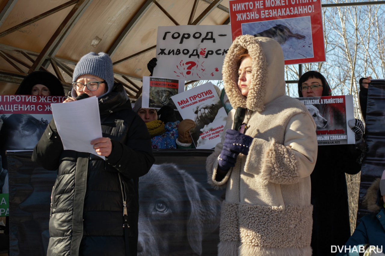 Руки прочь от песиков - митинг за животных прошел в Хабаровске (ФОТО) —  Новости Хабаровска