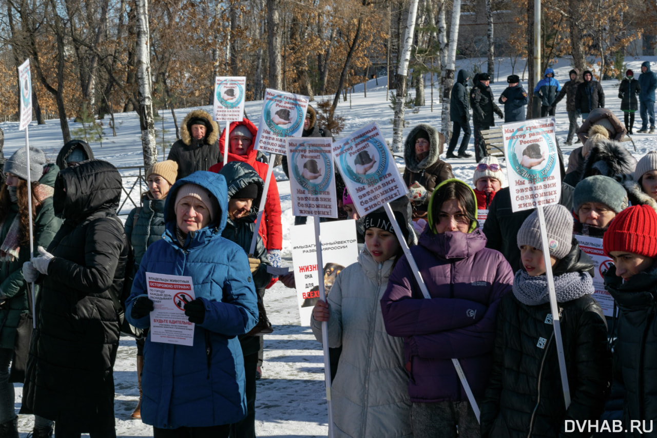 Митинг в хабаровске сми