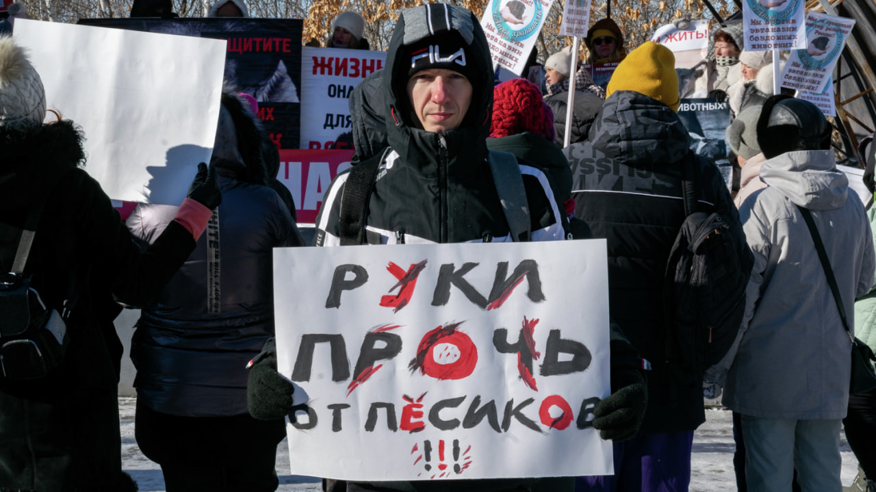 Руки прочь от песиков - митинг за животных прошел в Хабаровске (ФОТО) —  Новости Хабаровска