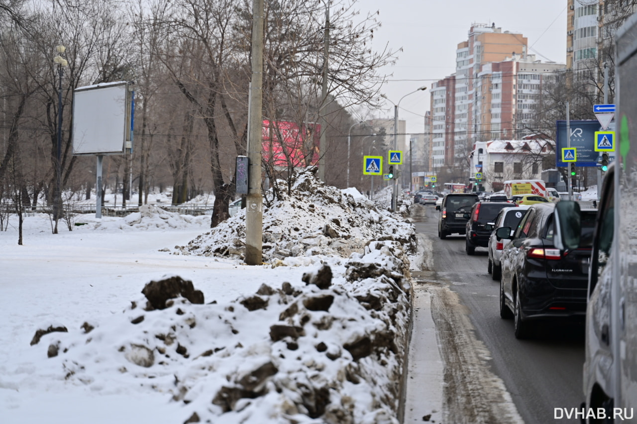 На улице ажиотаж. Очередь к нотариусу. На улице ажиотаж. Очередь за новым айфоном в москве. Очередь за айфоном в москве.