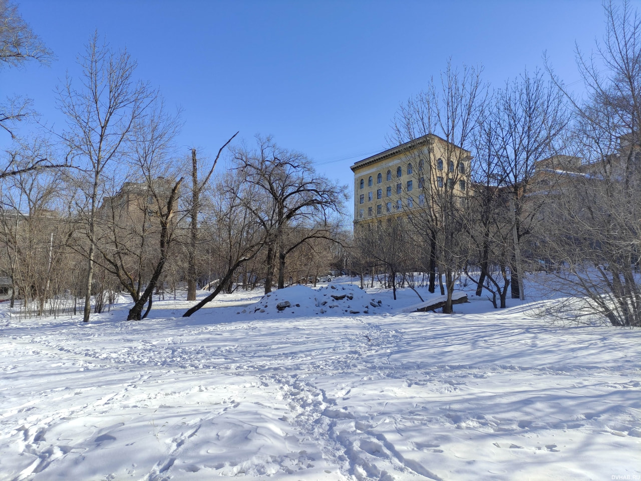 DVHAB на районе: Шеронова - улица конспирологической высотки (ФОТО) —  Новости Хабаровска