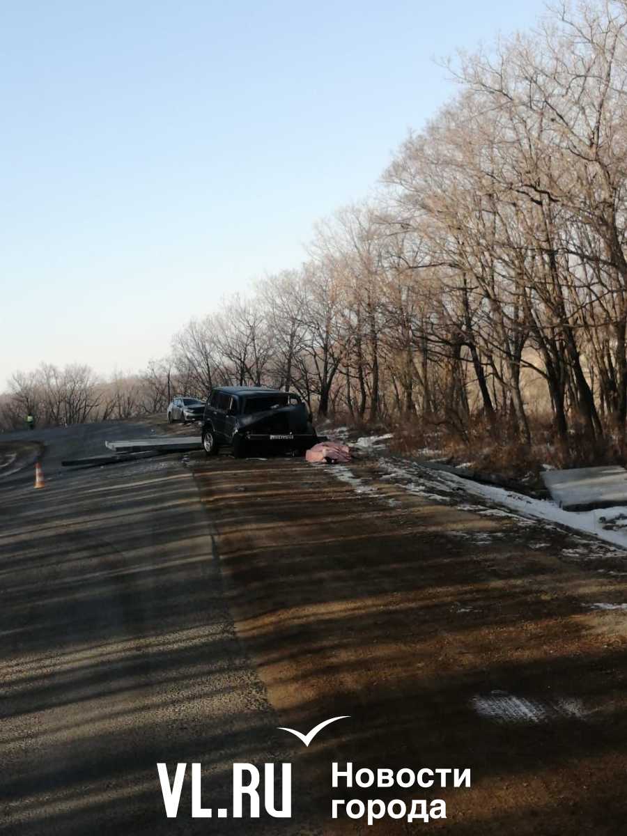 В Приморье с большегруза слетели бетонные плиты — два человека пострадали,  два погибли – Новости Владивостока на VL.ru