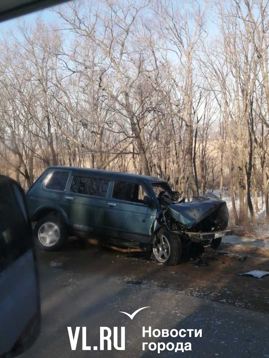 В Приморье с большегруза слетели бетонные плиты — два человека пострадали,  два погибли – Новости Владивостока на VL.ru