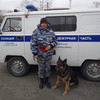В Зарубино служебная собака помогла полицейским найти убийцу, который избил и поджёг собутыльника