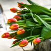 Вскоре эти тюльпаны получат очаровательные жительницы Приморья — newsvl.ru