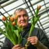 В мире насчитывается тысячи сортов тюльпанов — newsvl.ru