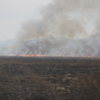 Пал и выжженное поле — newsvl.ru