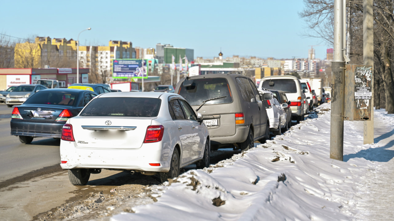 Продавцы тюльпанов на обочинах досаждают хабаровским водителям (ФОТО;  ОПРОС) — Новости Хабаровска