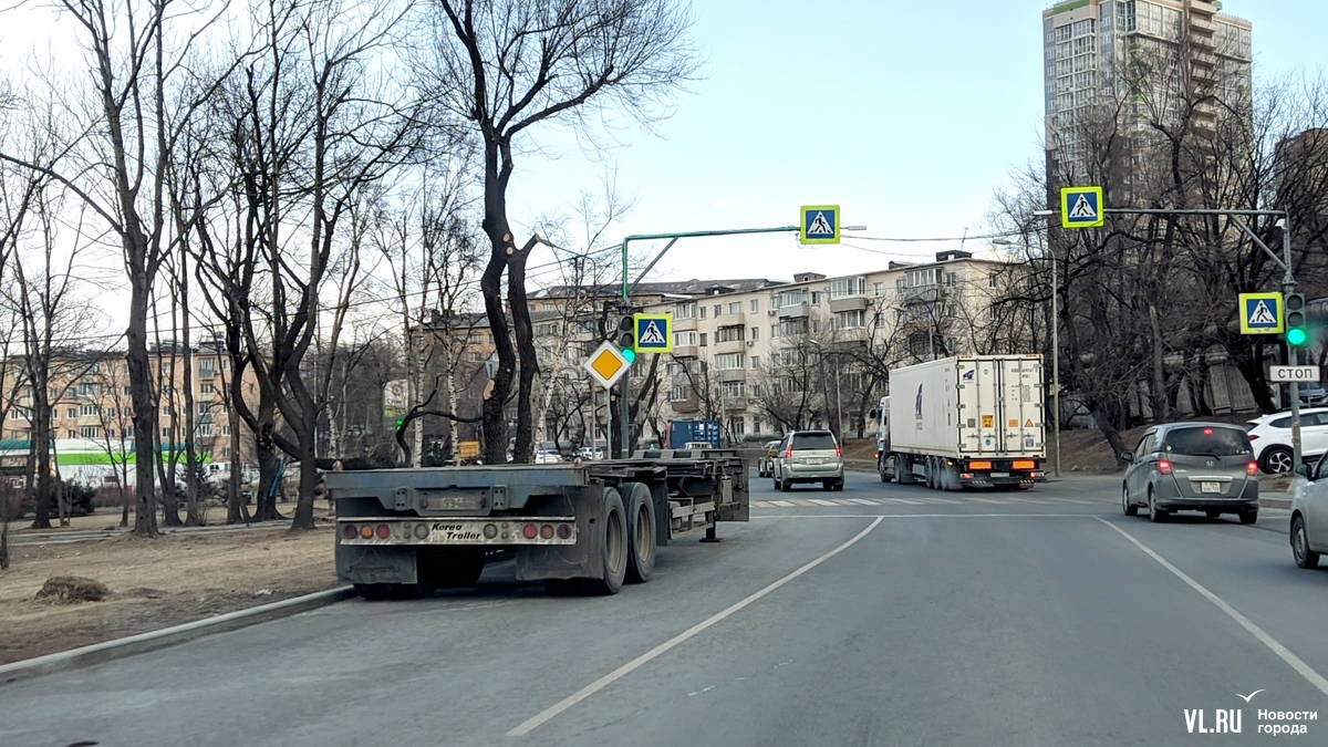 Проблема не просто назрела, а перезрела»: во Владивостоке десять лет  обсуждают стоянки для большегрузов и ни одной не построили – Новости  Владивостока на VL.ru