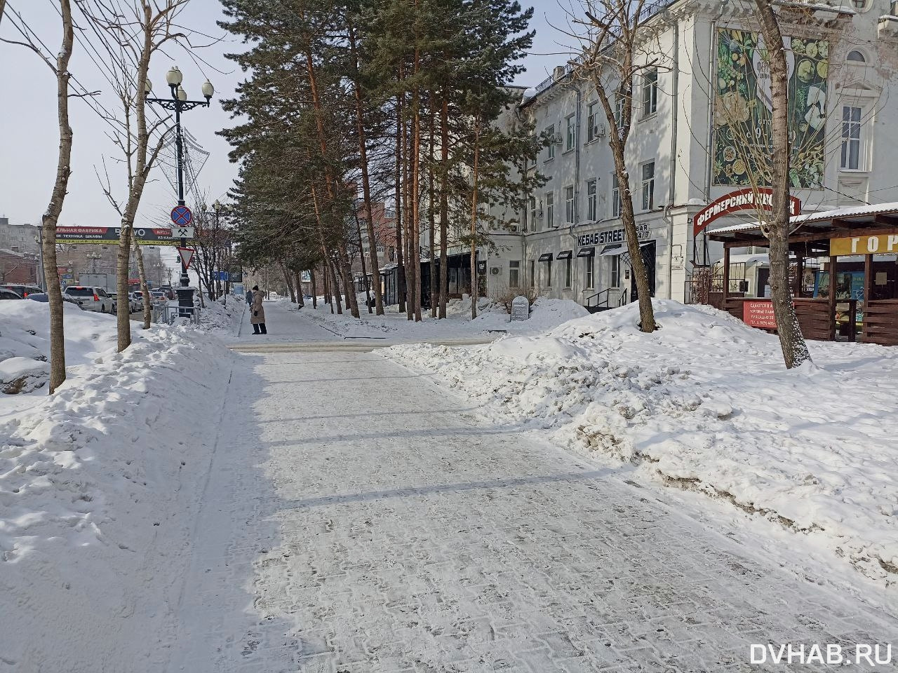 Ищем добровольцев - убирать и благоустраивать город своими руками взялись  хабаровчане (ФОТО) — Новости Хабаровска