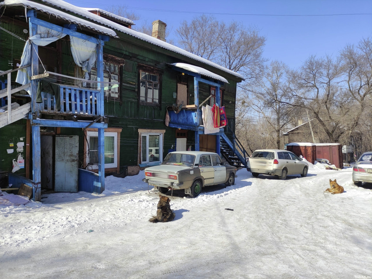 DVHAB на районе: 38 школа - педагоги в несостоявшихся уборных (ФОТО) —  Новости Хабаровска