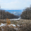 База находится совсем рядом с городом Арсеньевым и в 240 километрах от Владивостока — newsvl.ru