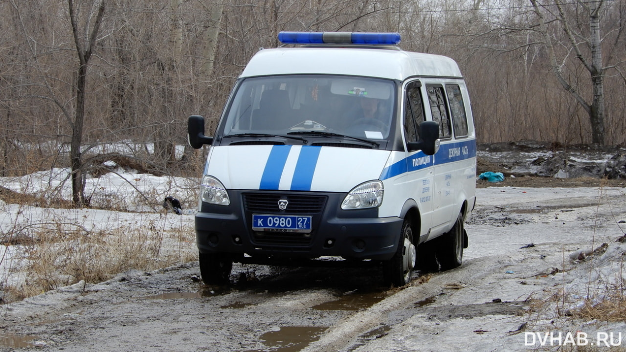 До смерти избил знакомого палкой пьяный житель Амурска — Новости Хабаровска