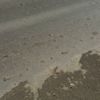 Асфальт покрылся мелкими трещинками и грязью с колёс строительной техники. Фото читателей Новостей VL.ru — newsvl.ru