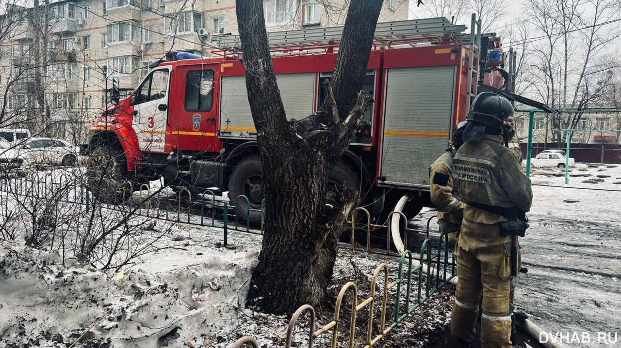 Пенсионерка пострадала при пожаре на Матвеевском шоссе (ФОТО; ОБНОВЛЕНИЕ) —  Новости Хабаровска