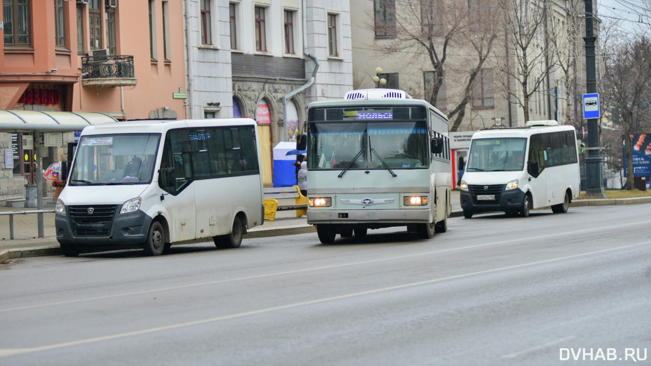 Стоимость проезда вырастет на пяти автобусных маршрутах — Новости Хабаровска