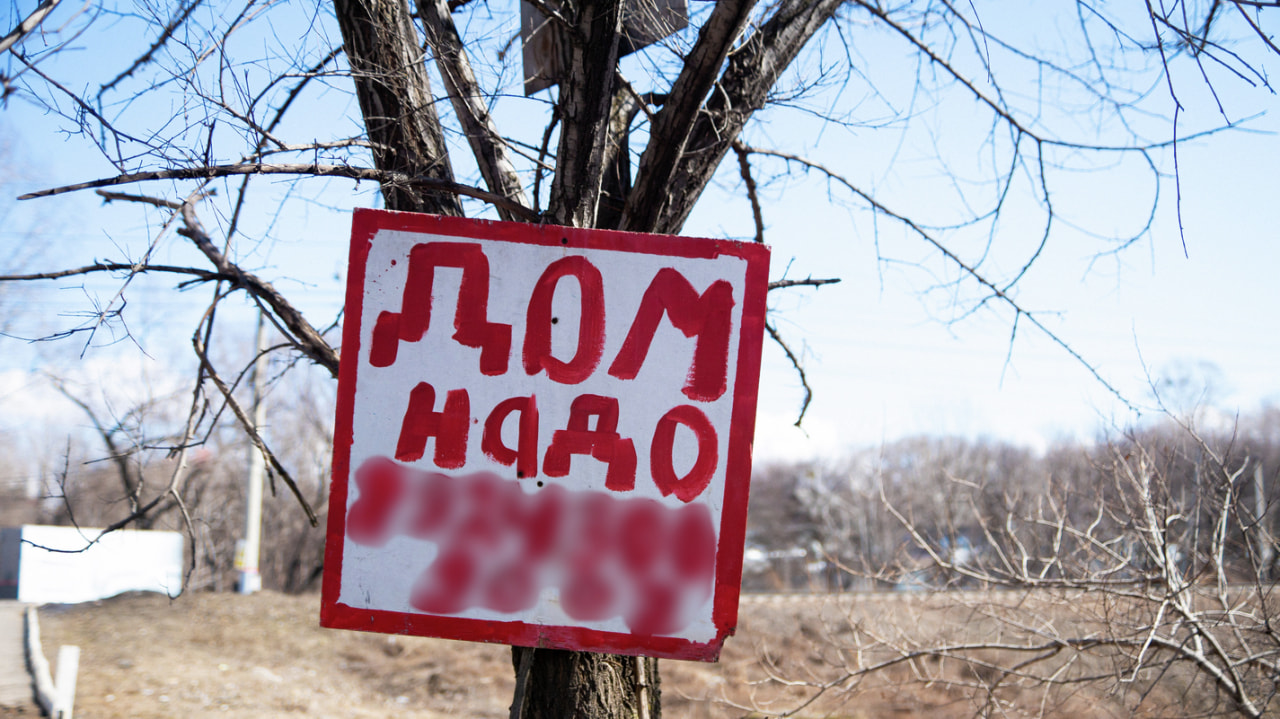 Портят вид и экологию: с рекламой на деревьях борются хабаровчане (ФОТО) —  Новости Хабаровска