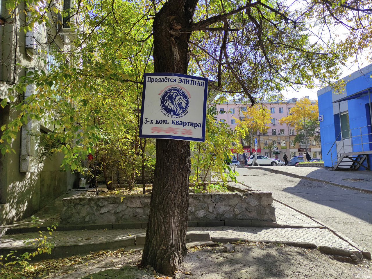 Портят вид и экологию: с рекламой на деревьях борются хабаровчане (ФОТО) —  Новости Хабаровска