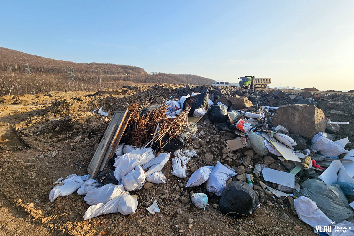 В лесу за ЖК «Изумрудный» образовалась огромная свалка строительного мусора  (ВИДЕО, ФОТО) – Новости Владивостока на VL.ru