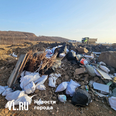 Челябинскую пенсионерку нашли живой после трех ночей в лесу