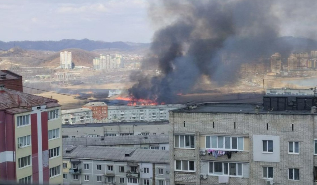 В жилом районе Находки пал травы распространился на 1,5 километра – Новости  Владивостока на VL.ru