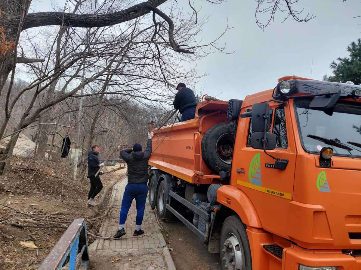 Сотрудники администрации Владивостока вместе с жителями города убирали  мусор в четырёх лесных массивах (ФОТО) – Новости Владивостока на VL.ru